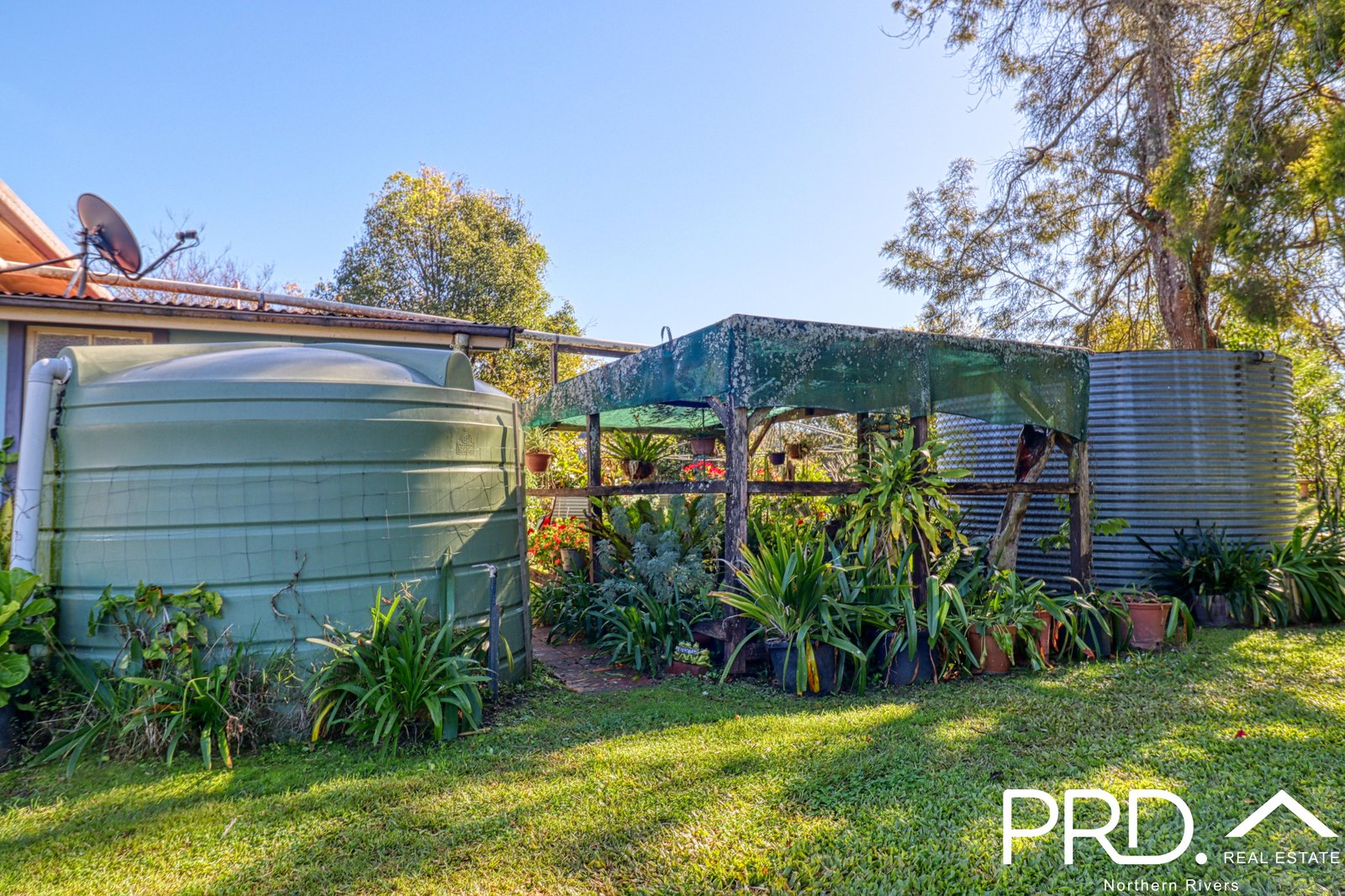 4 Gleeson Street WIANGAREE 13