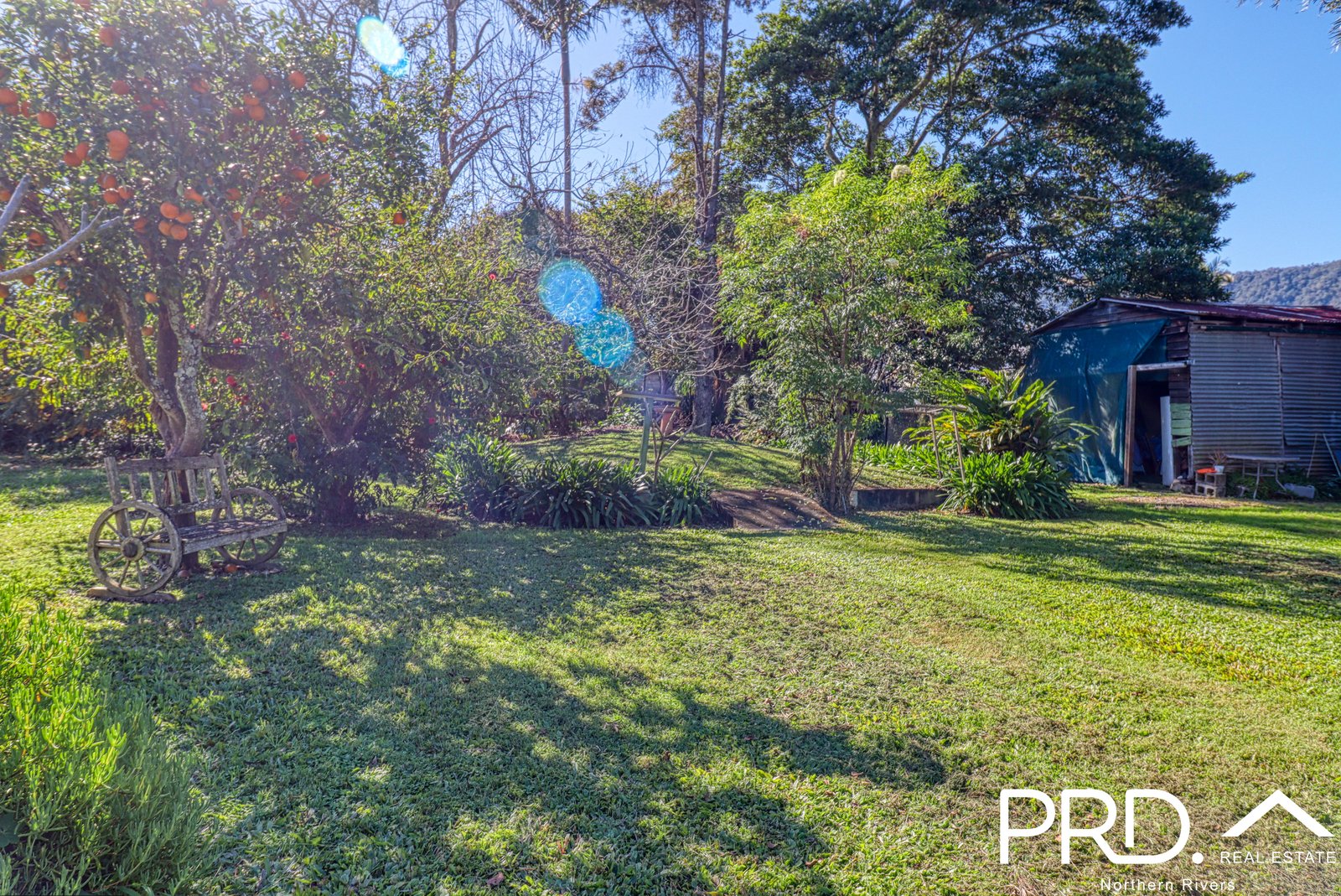 4 Gleeson Street WIANGAREE 16