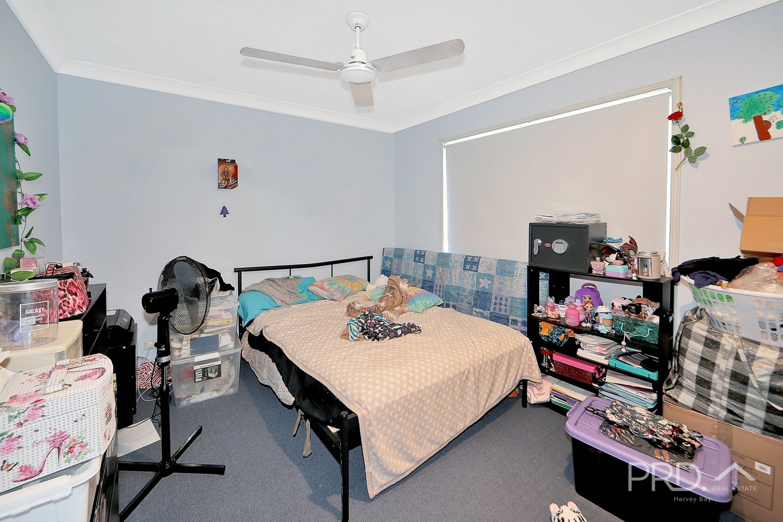 4 Glen Court POINT VERNON 11