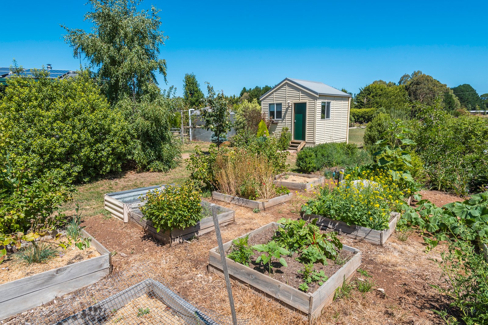 Real Estate and Property in 4 Glen Street, Tylden, VIC
