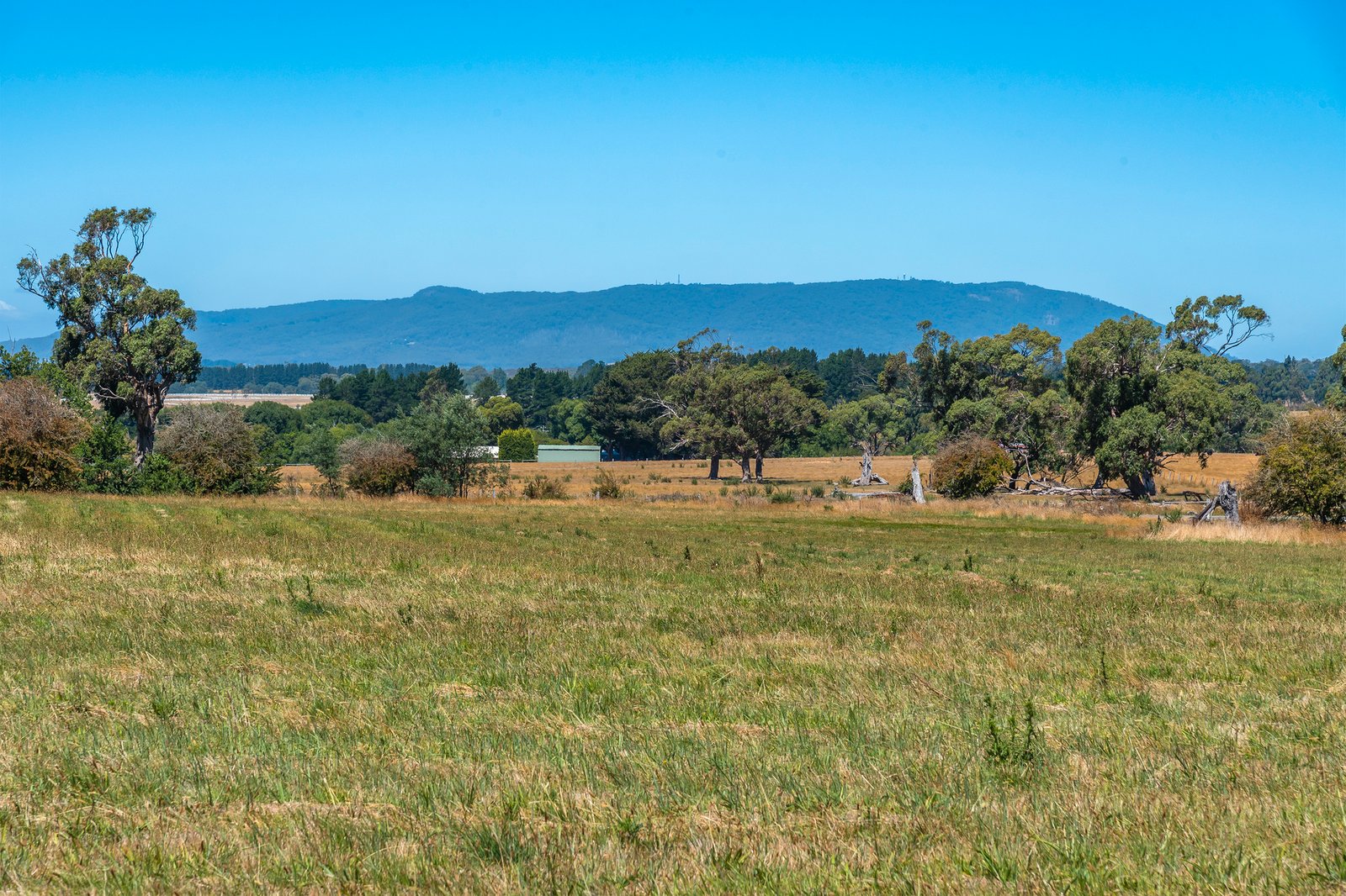 Real Estate and Property in 4 Glen Street, Tylden, VIC