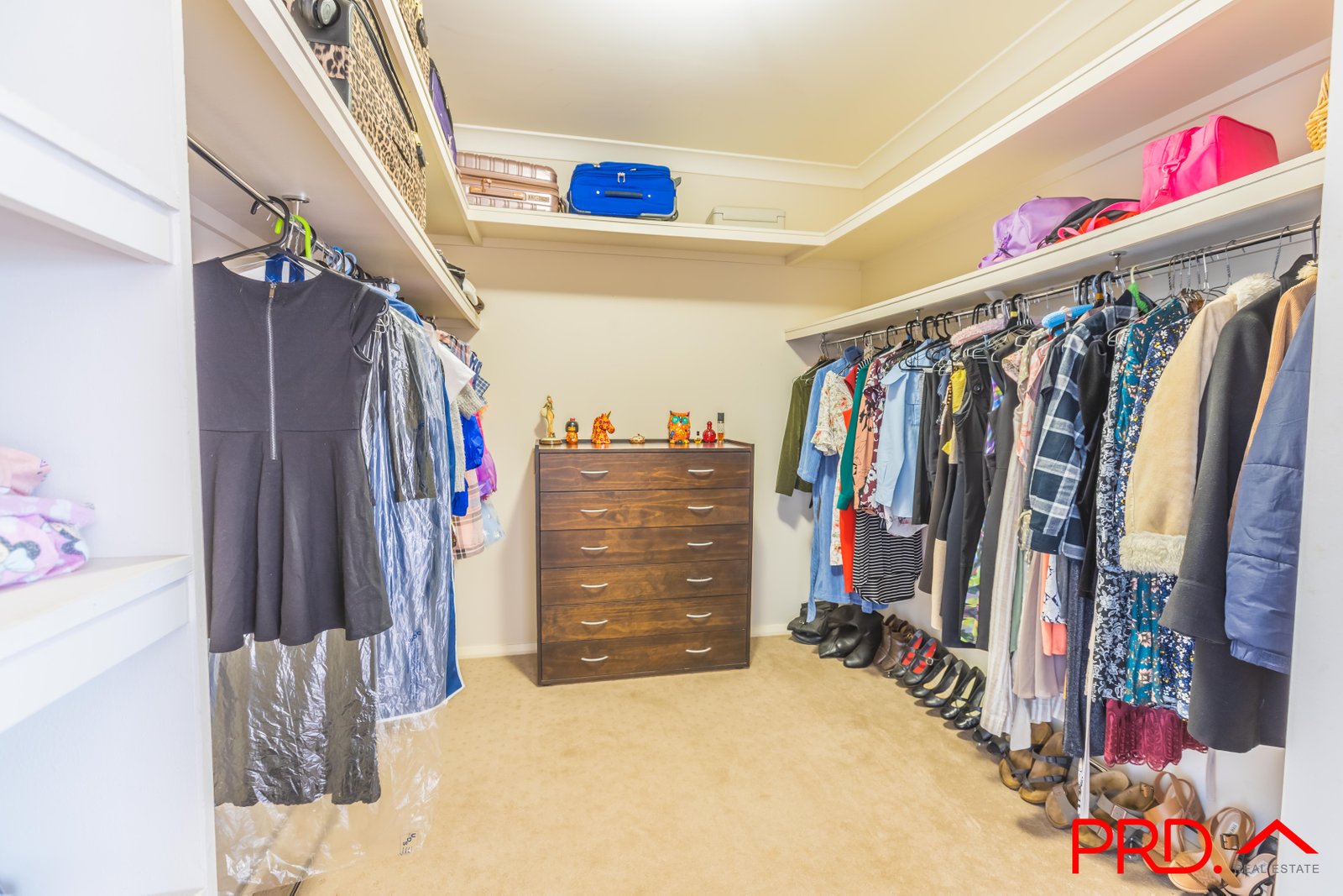 4 Glenview Place TAMWORTH 11