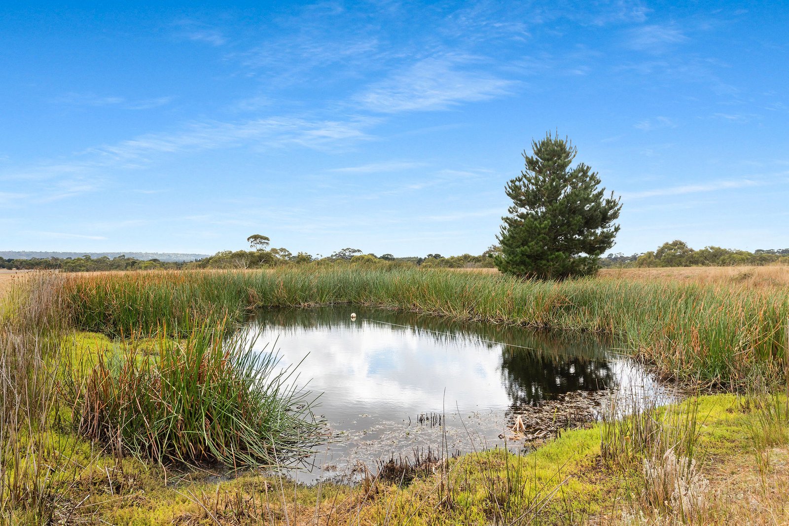 4 Godings Road, Moorooduc, 3933