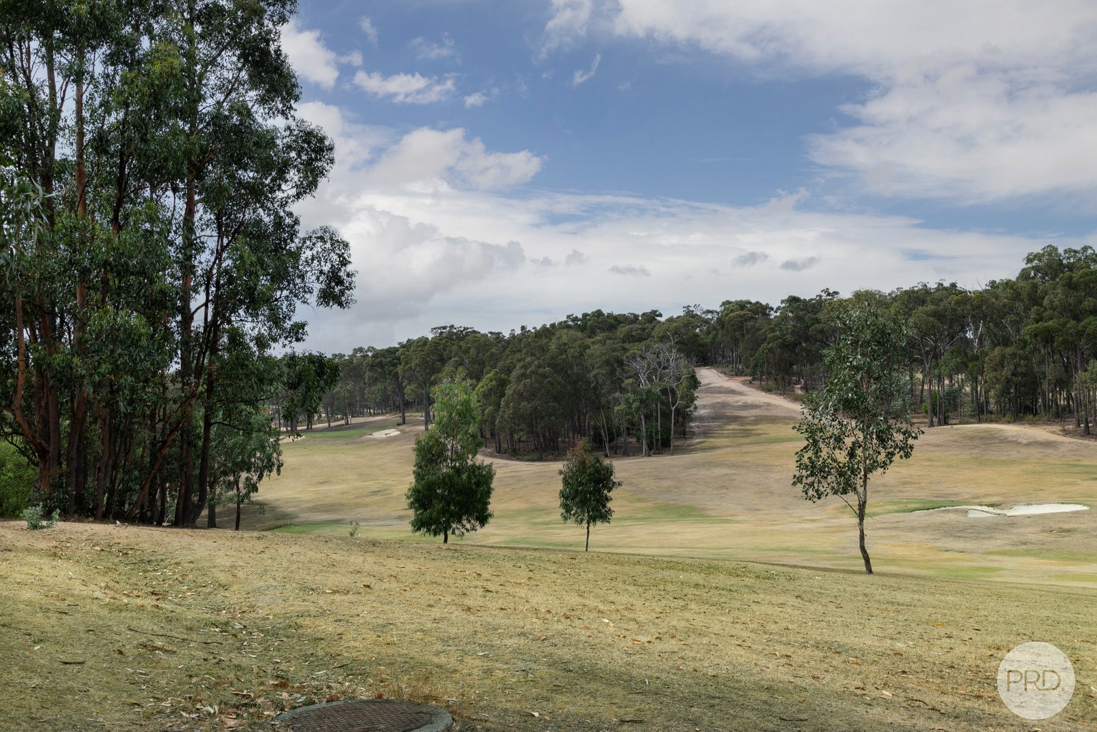 4 Hepburn Court CRESWICK 22