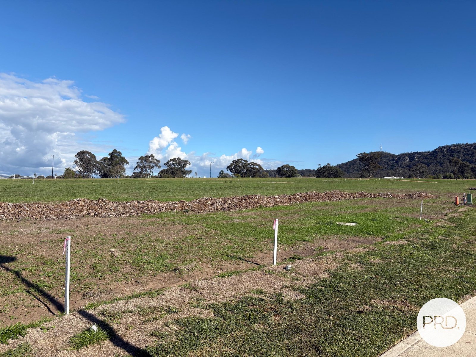 4 Holly Crescent DENMAN 2