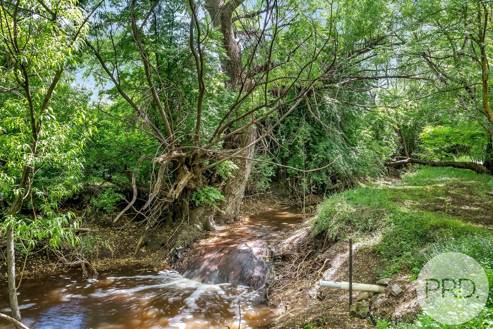 4 Iden Road BAGDAD 28