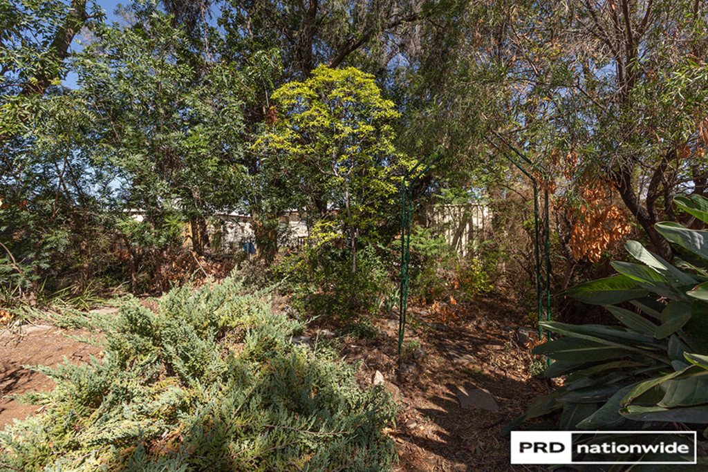 4 Joan Street TAMWORTH 16