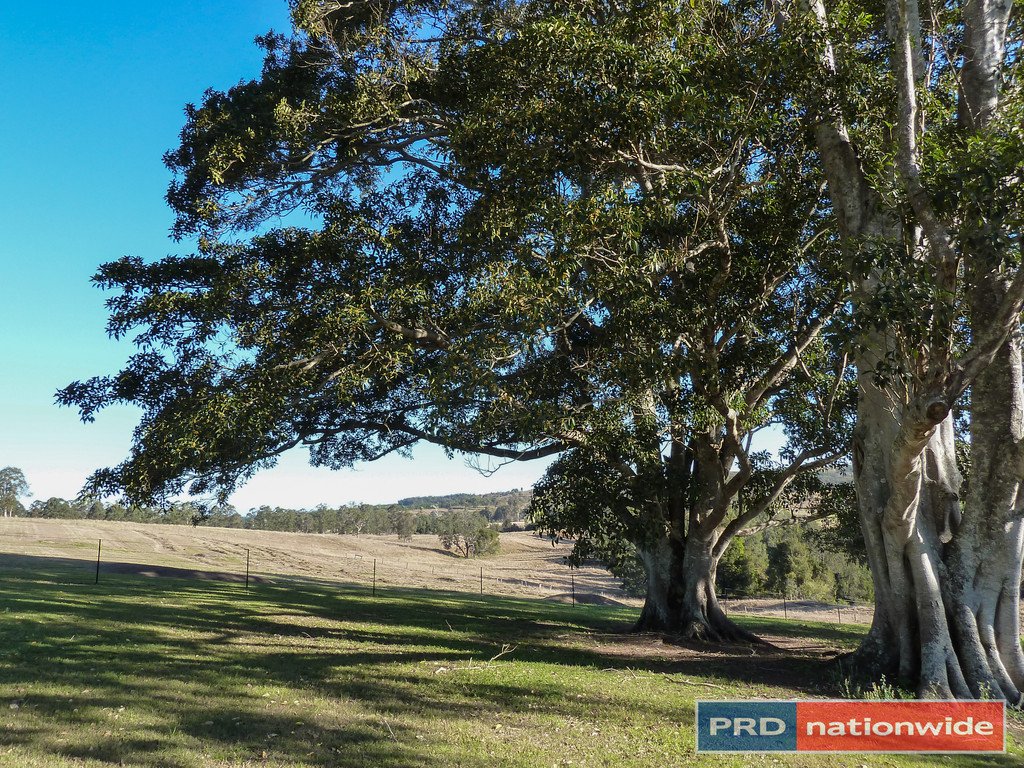 4 Lamberton Lane Ettrick Via  KYOGLE 10