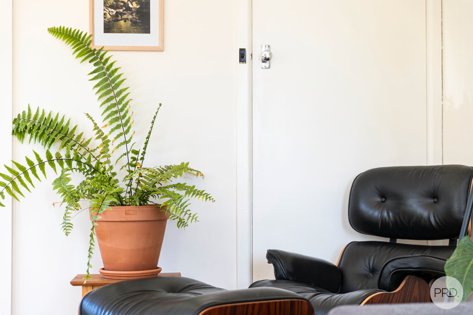 4 Larter Street GOLDEN POINT 3