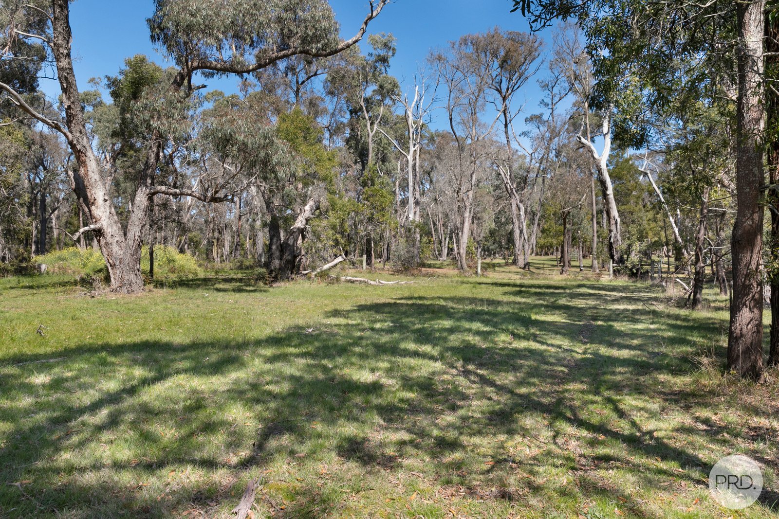 4 Laurence Drive SNAKE VALLEY 19