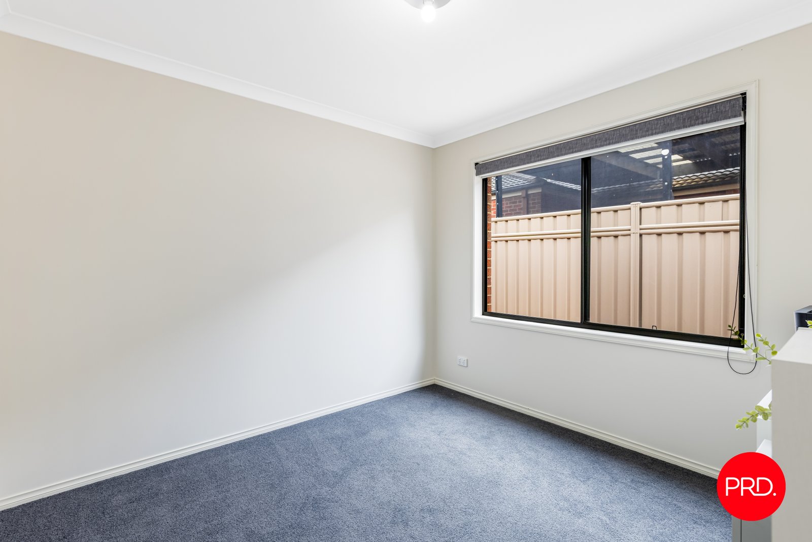 4 Lorna Court WHITE HILLS 11
