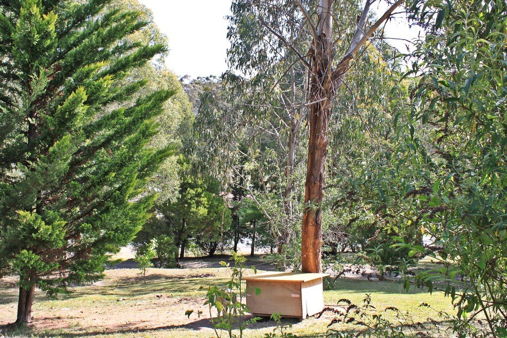 4 Lyne Street TUMBARUMBA 9