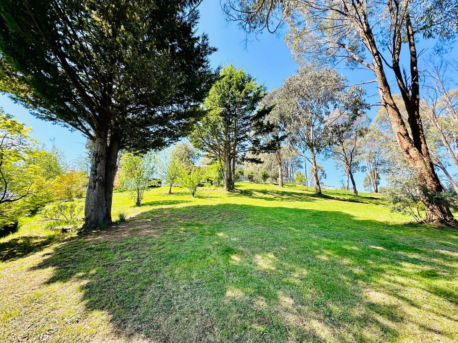 4 Lyne Street TUMBARUMBA 15