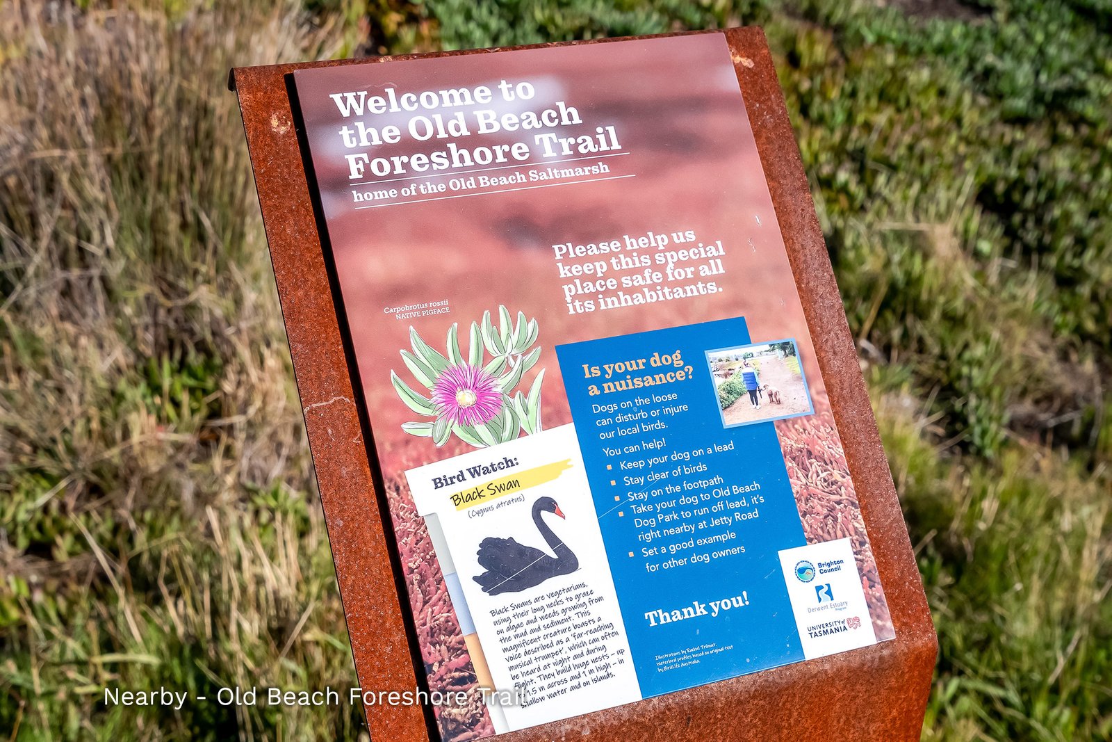 4 Maddelena Court OLD BEACH 28