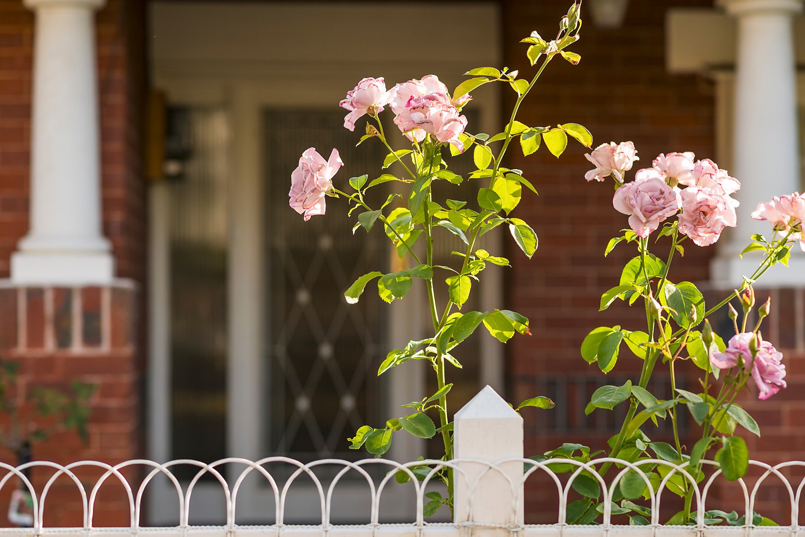 4 Malmsbury Street, Hawthorn, VIC