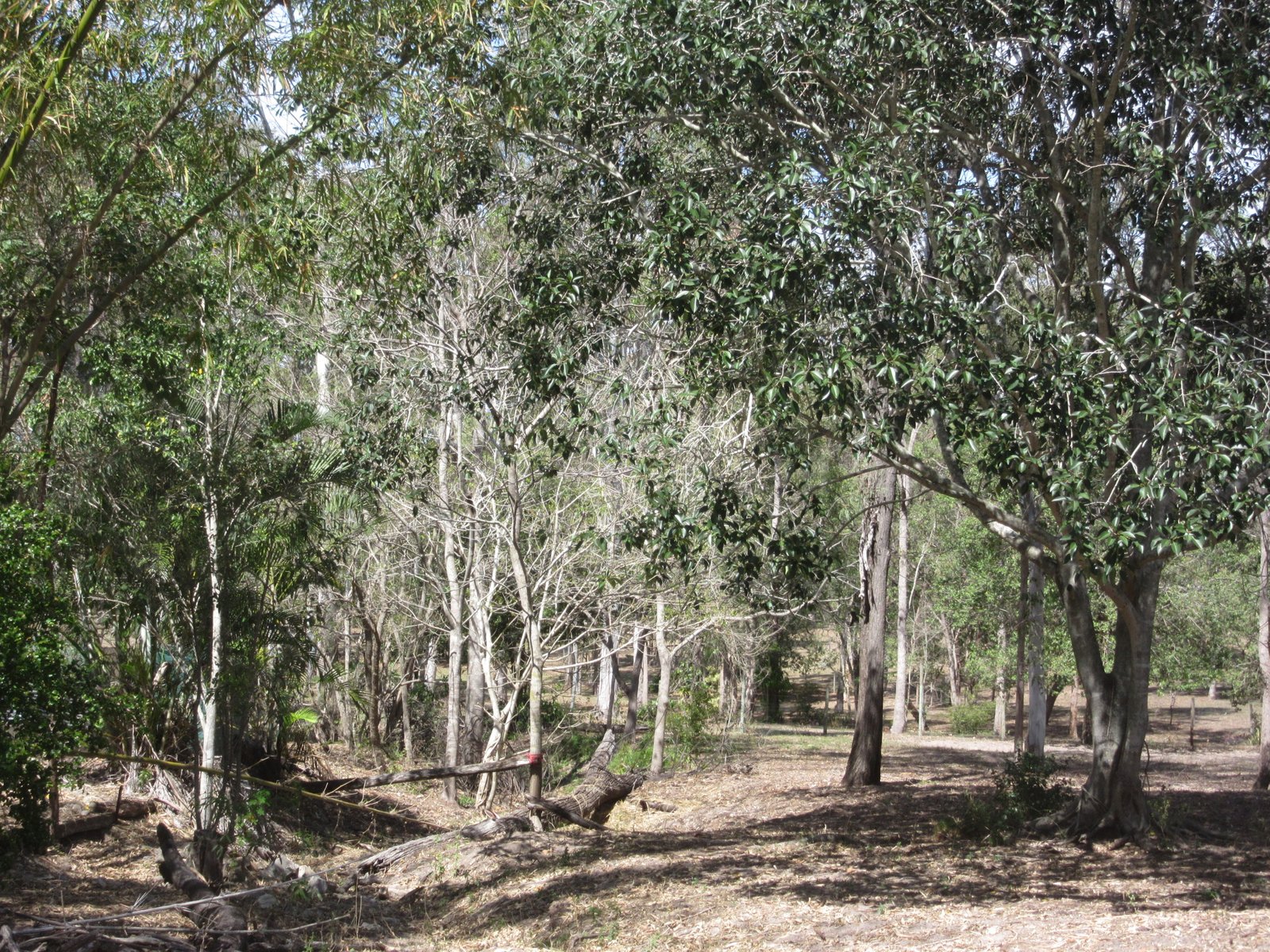 4 MESSMATE Drive MIRIAM VALE 5