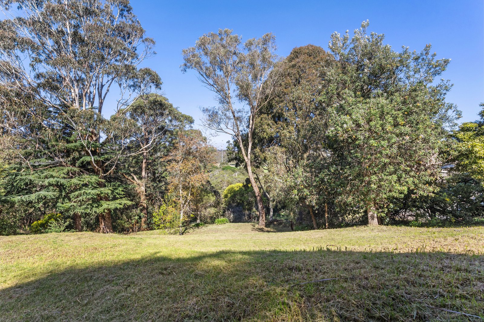 Gallery: 4 Newton Street