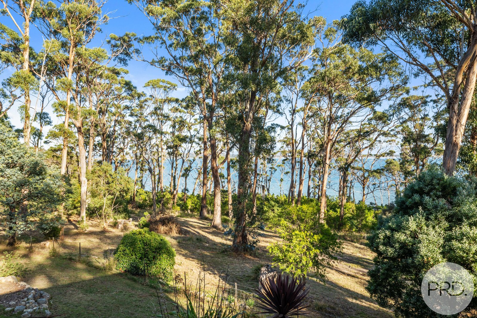 4 O'May Court SANDFORD 8
