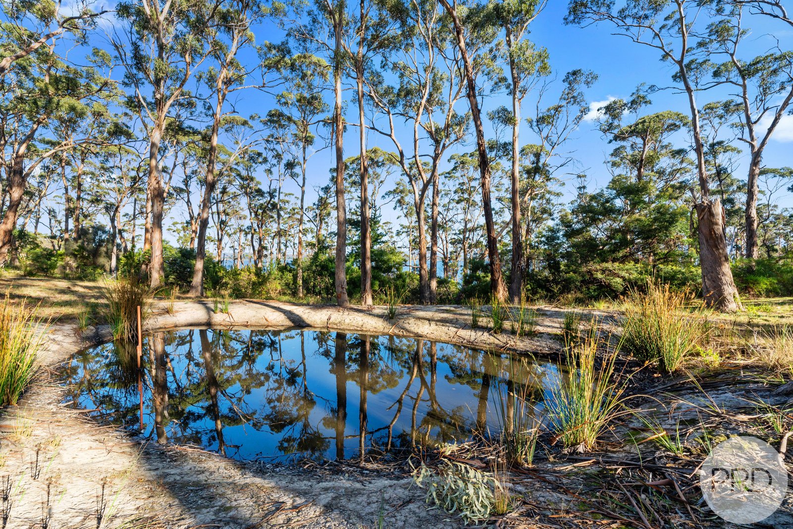 4 O'May Court SANDFORD 17