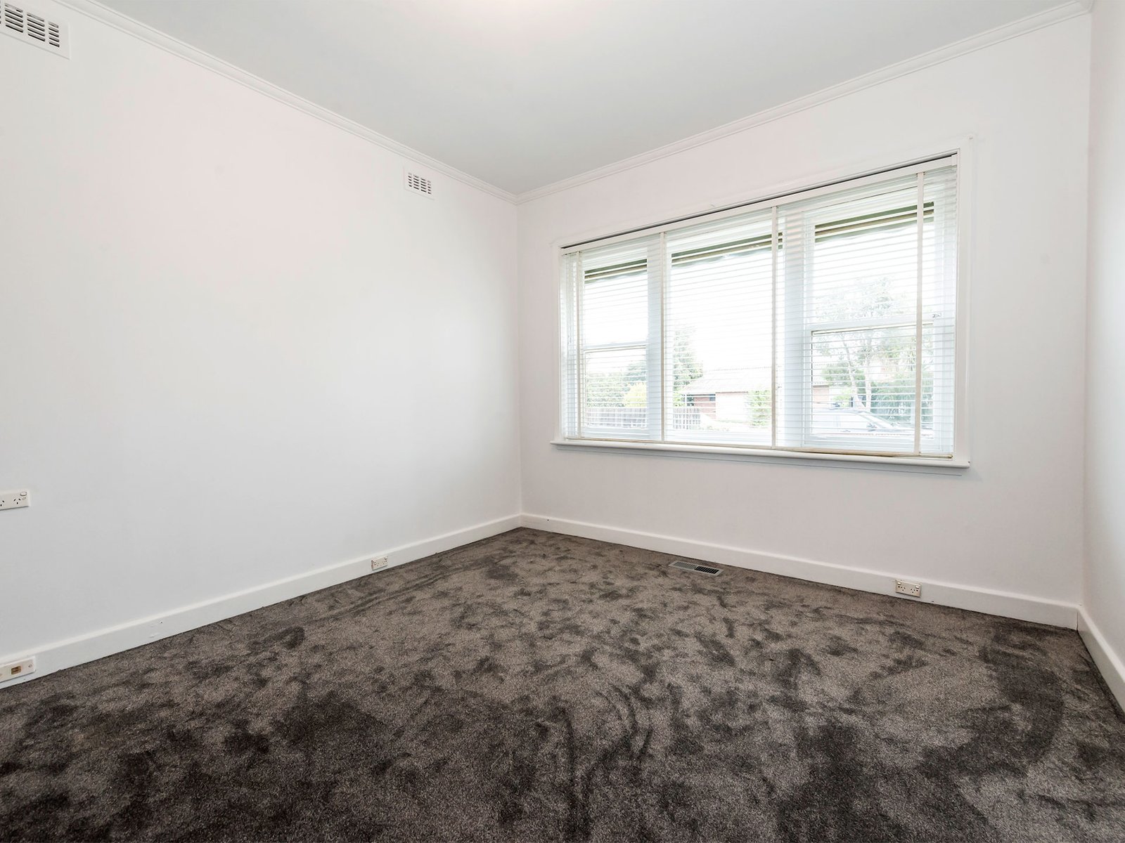 Gallery: 4 Ozone Street