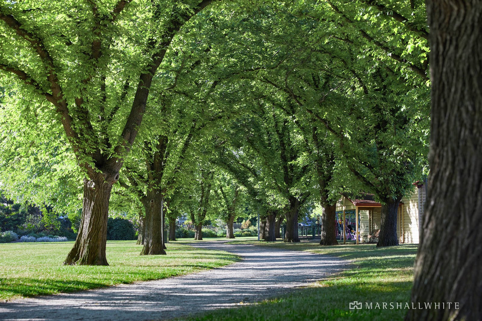 4 Parkside Street, Malvern, VIC