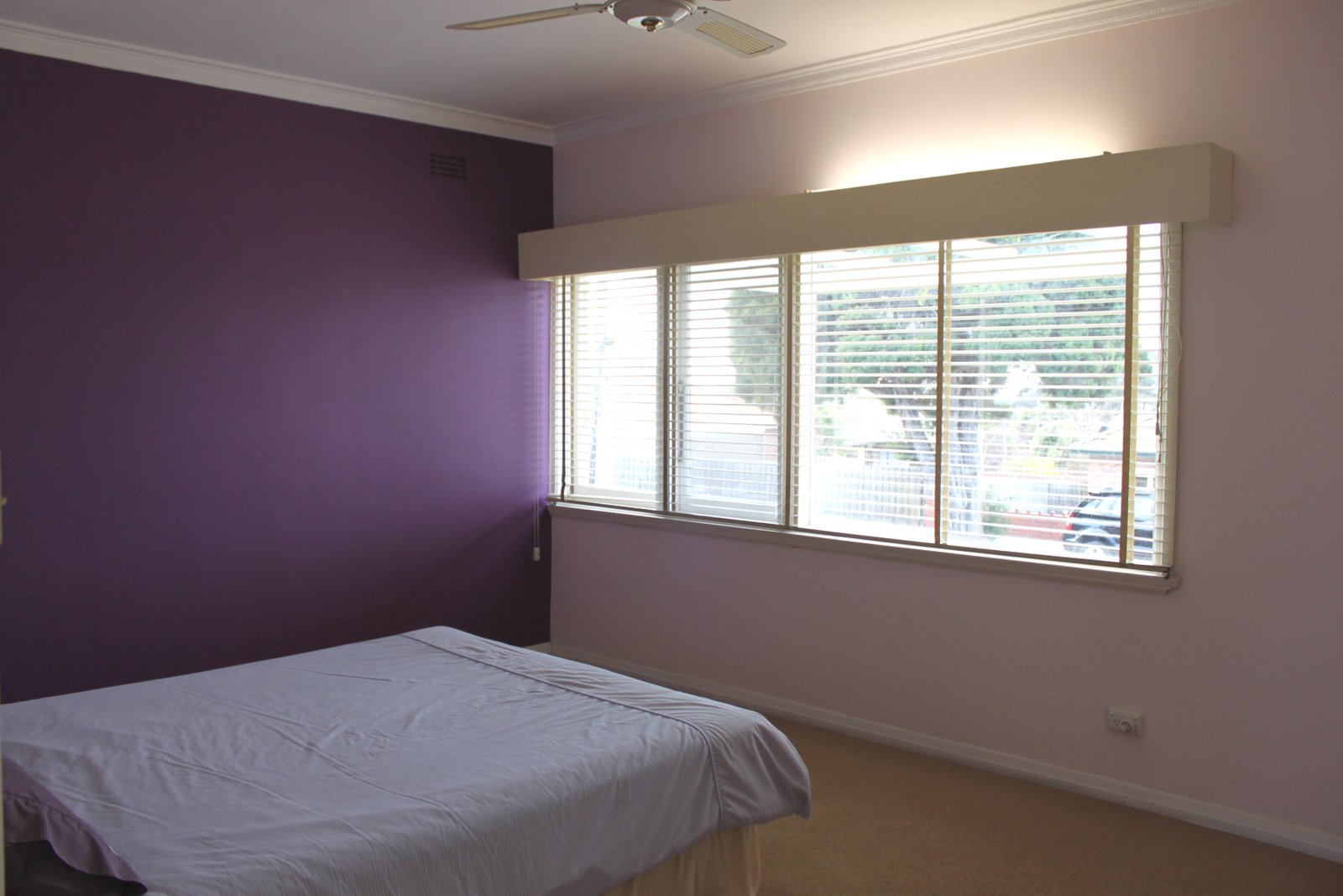 Gallery: 4 Paterson Street