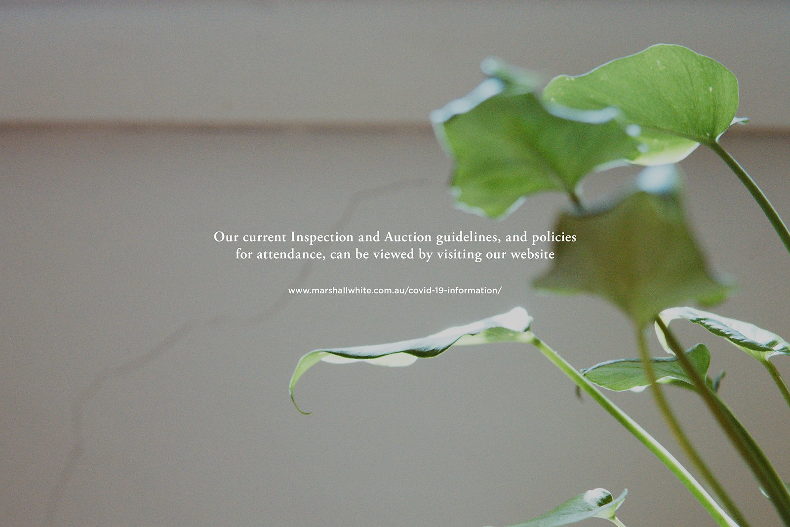 4 Raymond Court, Brighton East, VIC