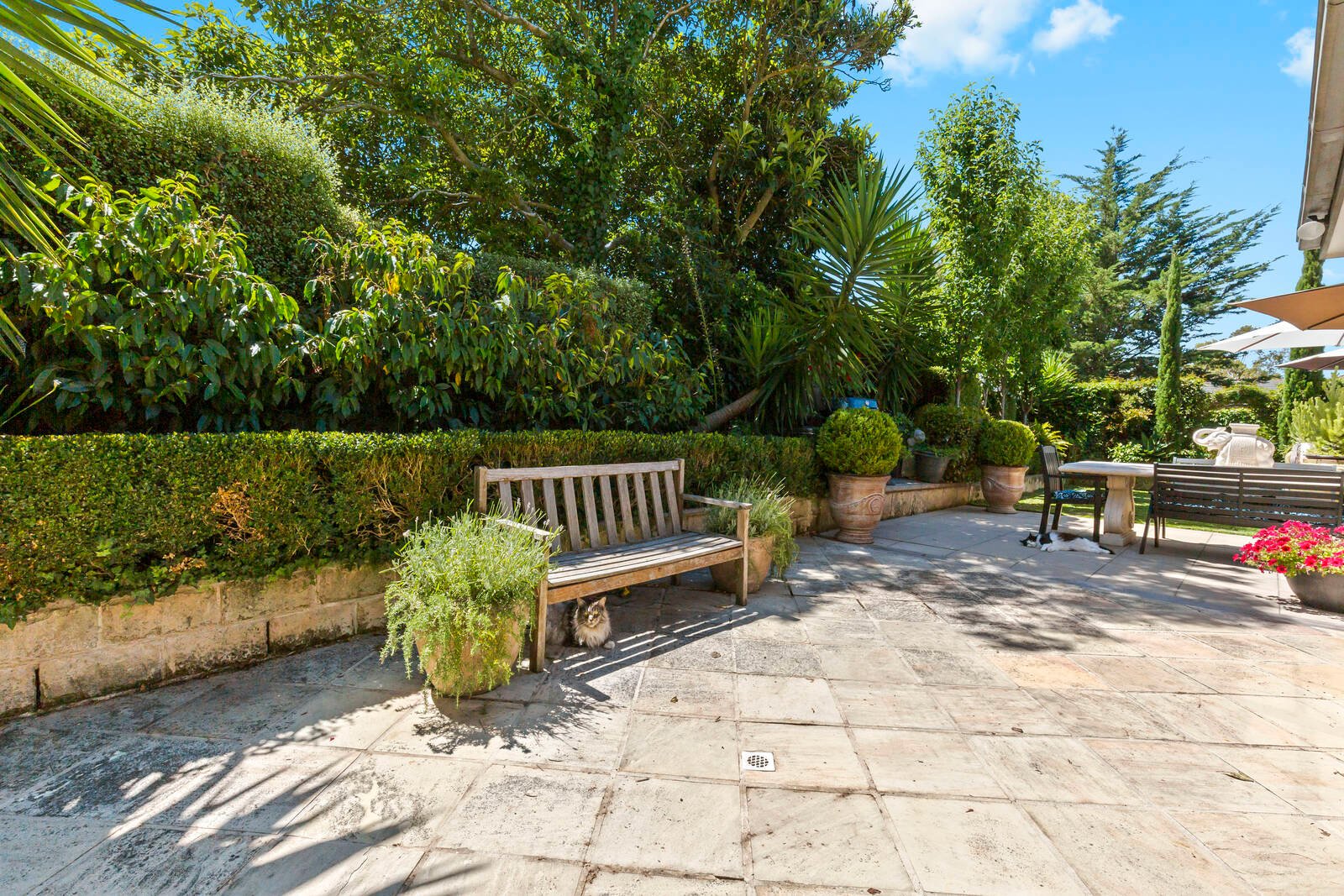 Real Estate and Property in 4 Richard Court, Mount Eliza, VIC