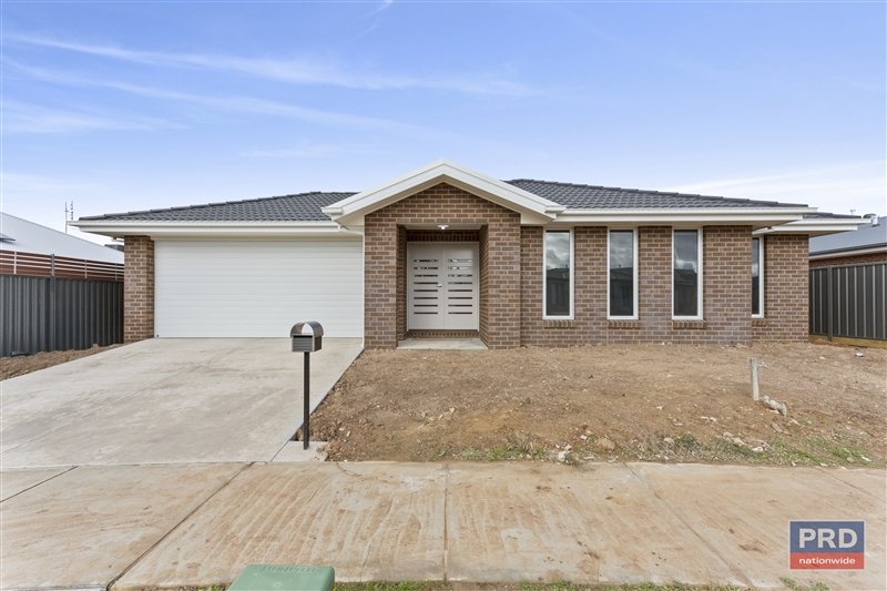 4 Ruedin Street HUNTLY 1