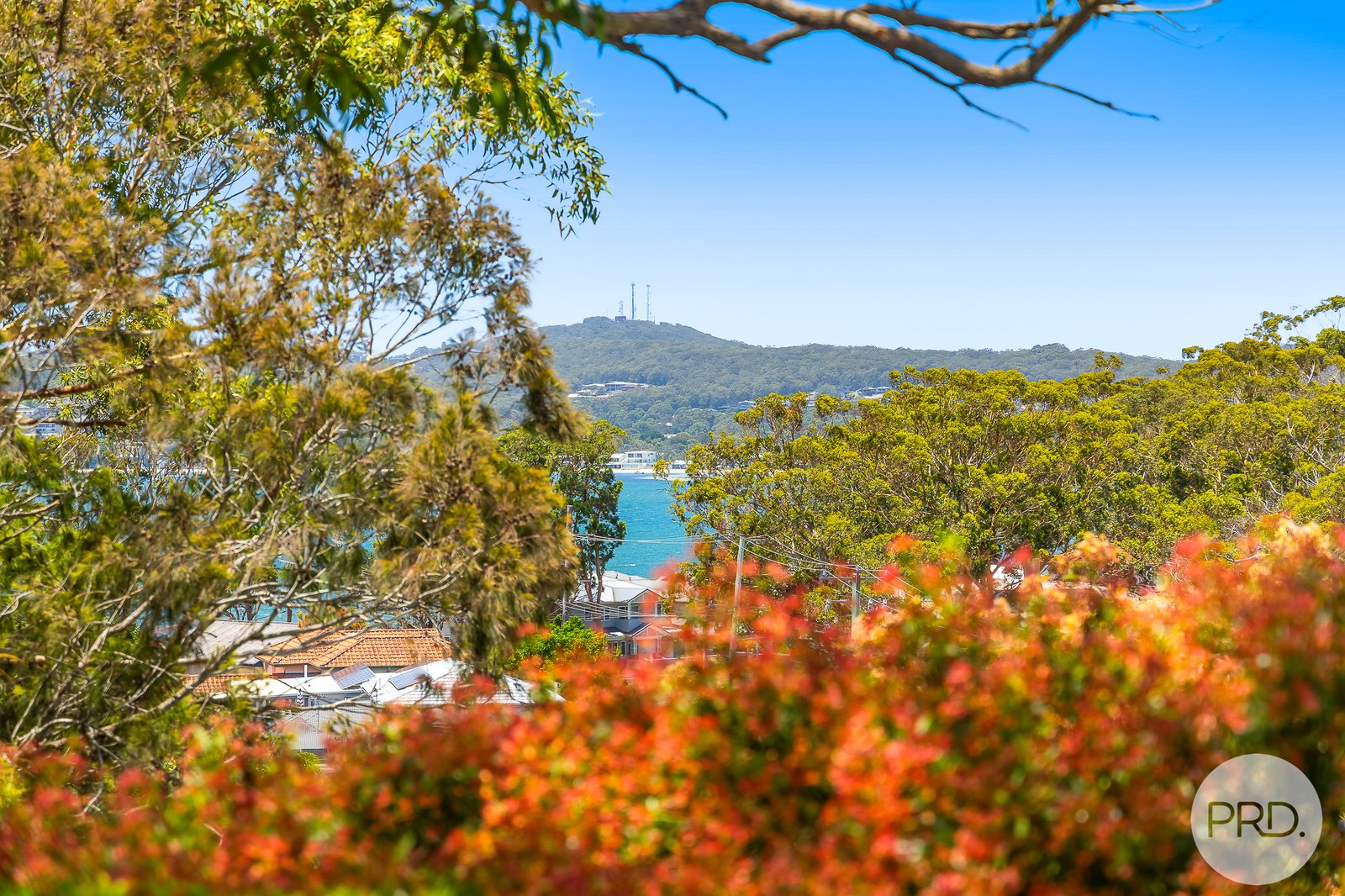 4 Scott Circuit SALAMANDER BAY 18