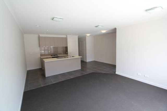 4 Swamp Gum Place ALFREDTON 2