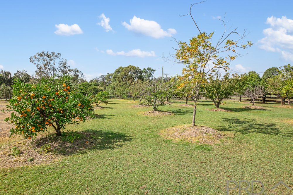 4 Tamburlaine Court BRANXTON 31