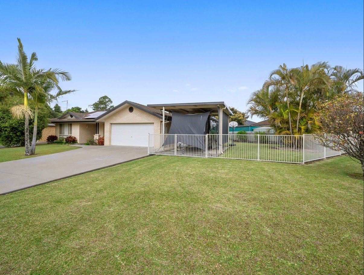 4 Tree Fern  COFFS HARBOUR 1