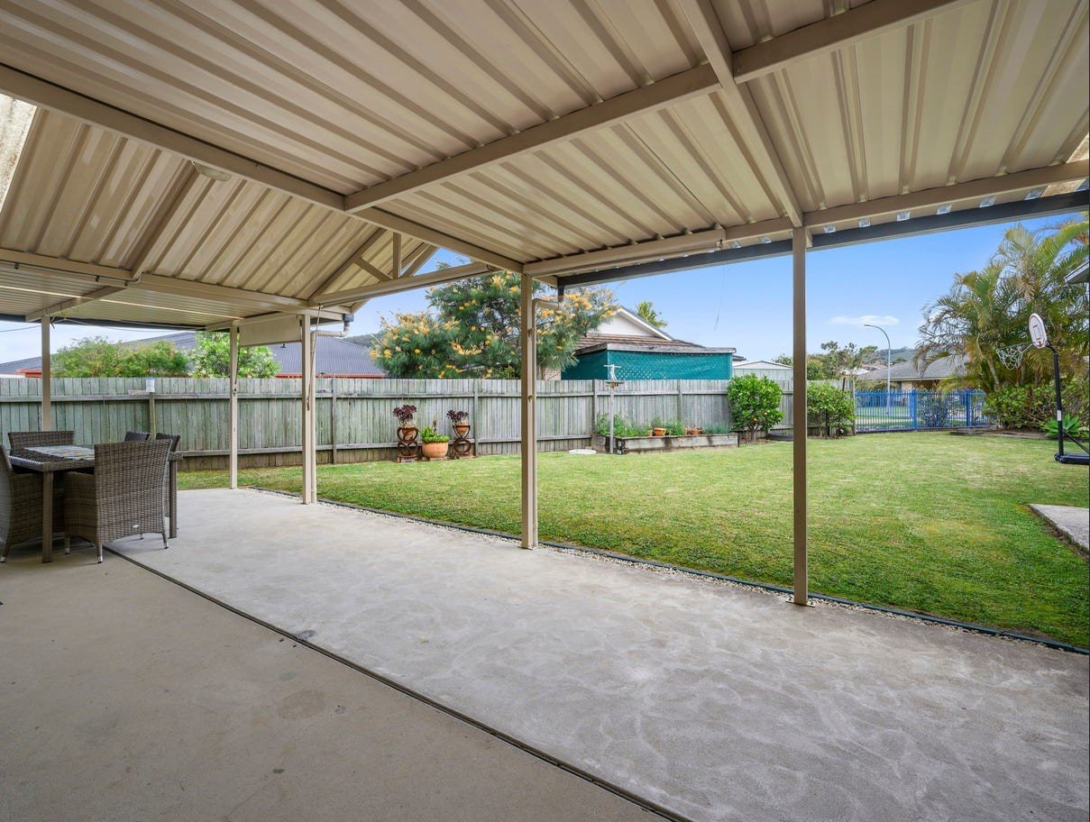 4 Tree Fern  COFFS HARBOUR 2
