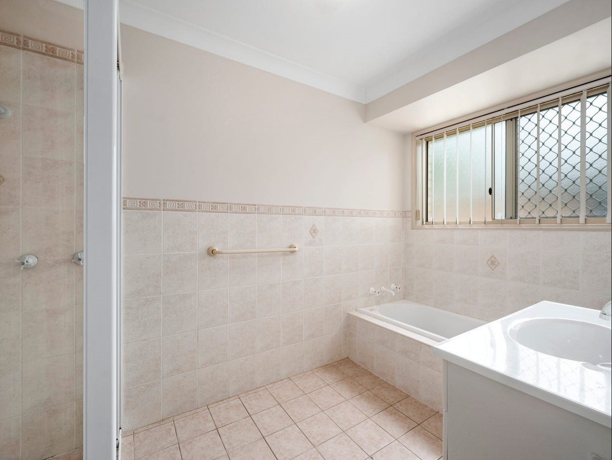 4 Tree Fern  COFFS HARBOUR 7