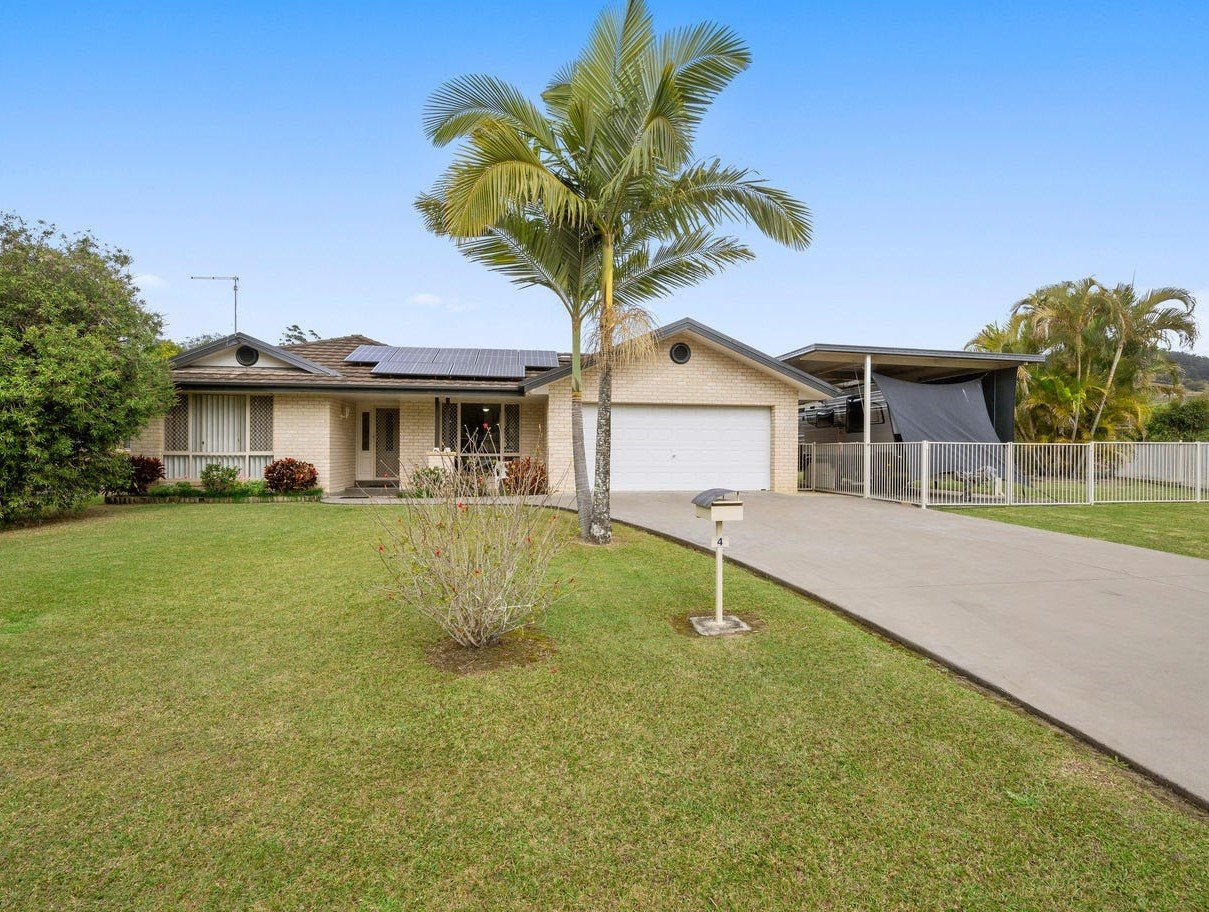 4 Tree Fern  COFFS HARBOUR 9