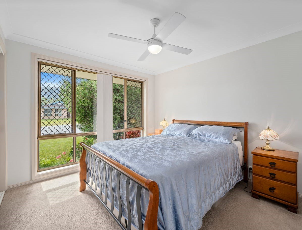 4 Tree Fern  COFFS HARBOUR 10