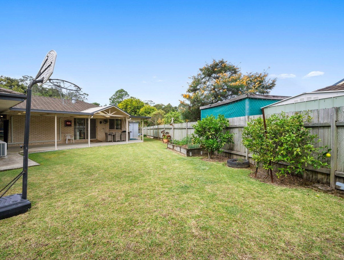 4 Tree Fern  COFFS HARBOUR 12