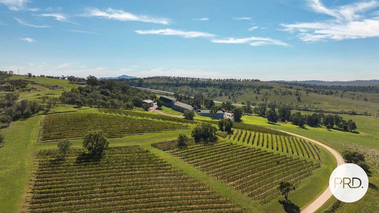 4 Vines Circuit DENMAN 2