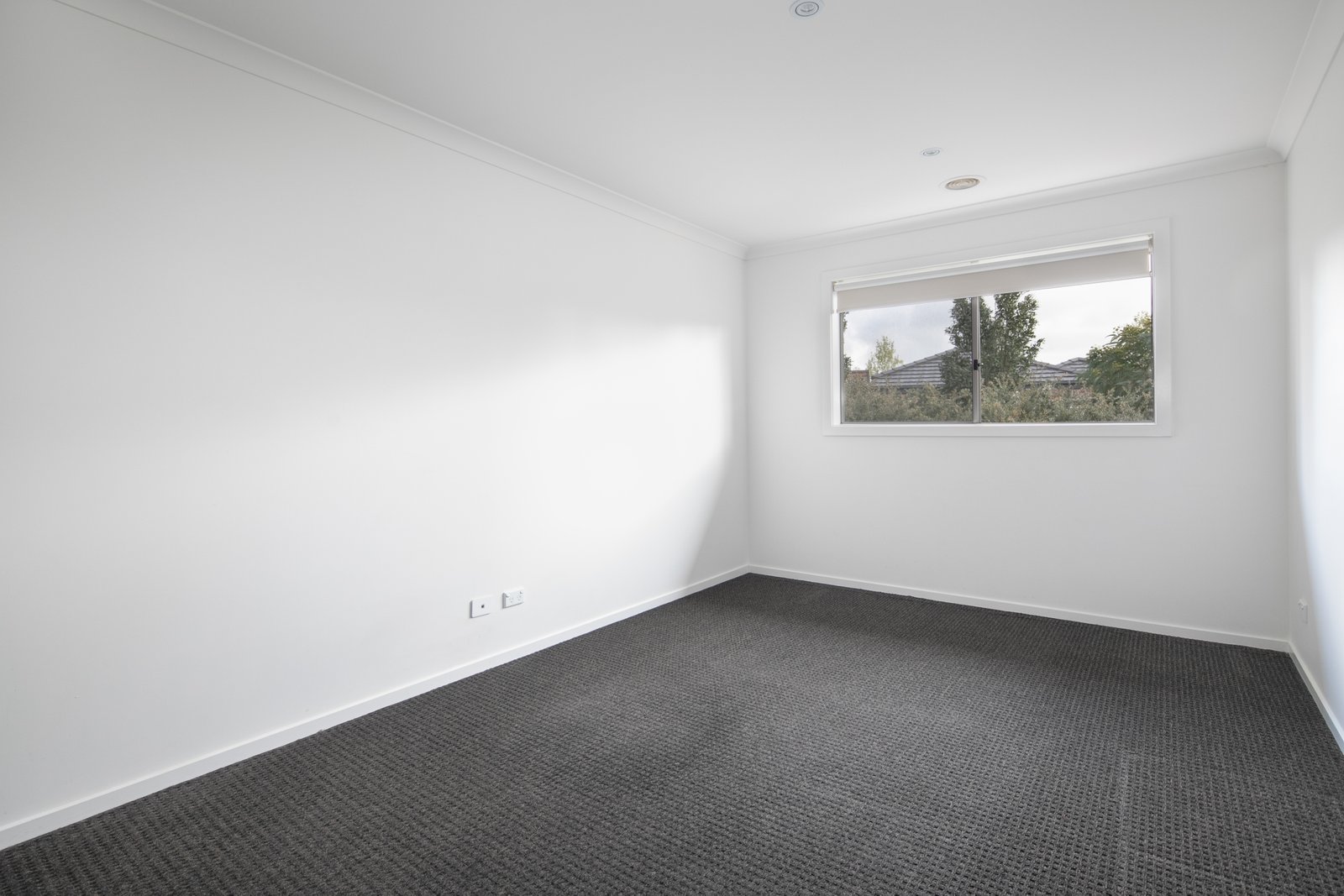 4 Wilmott Street LUCAS 4