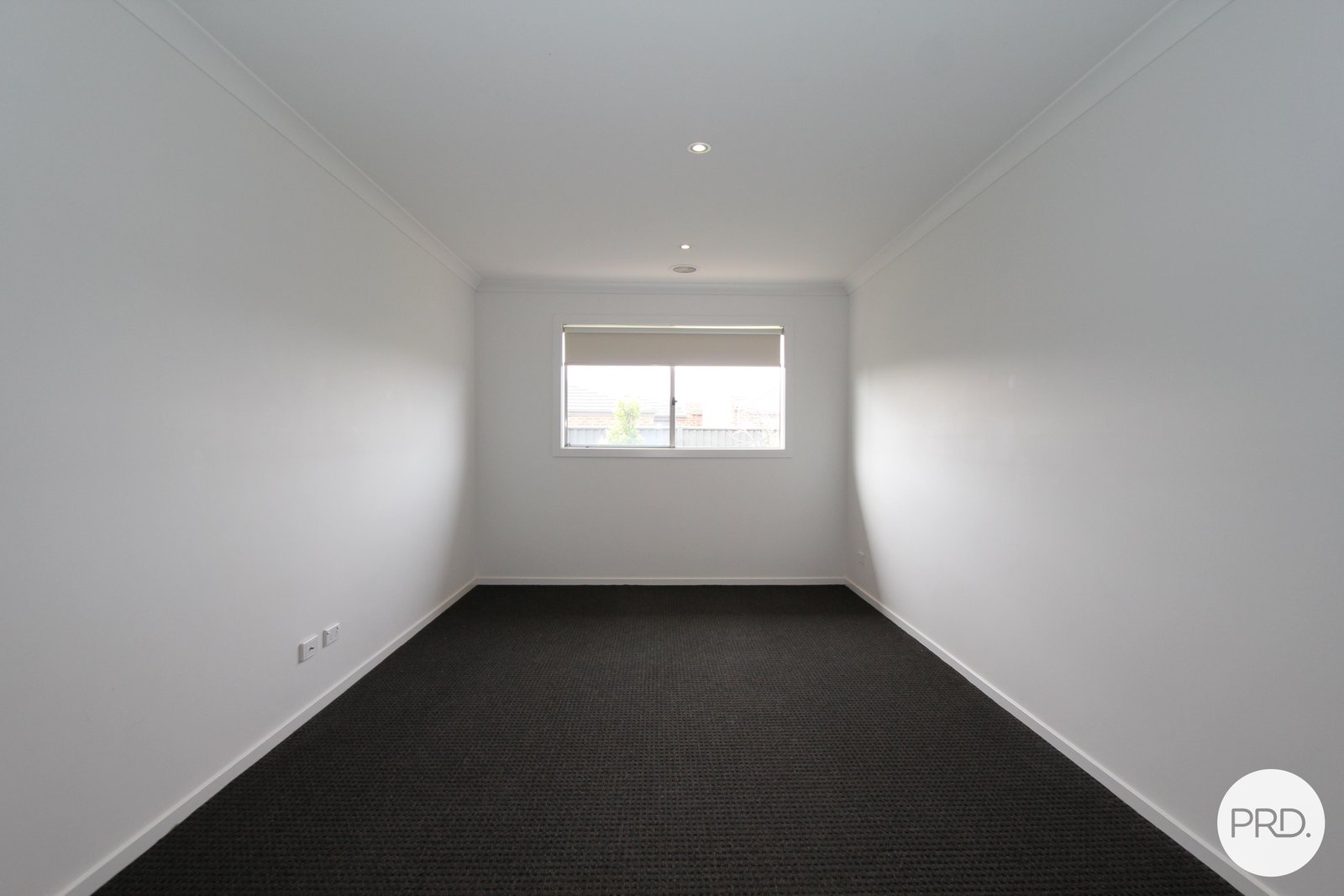 4 Wilmott Street LUCAS 5