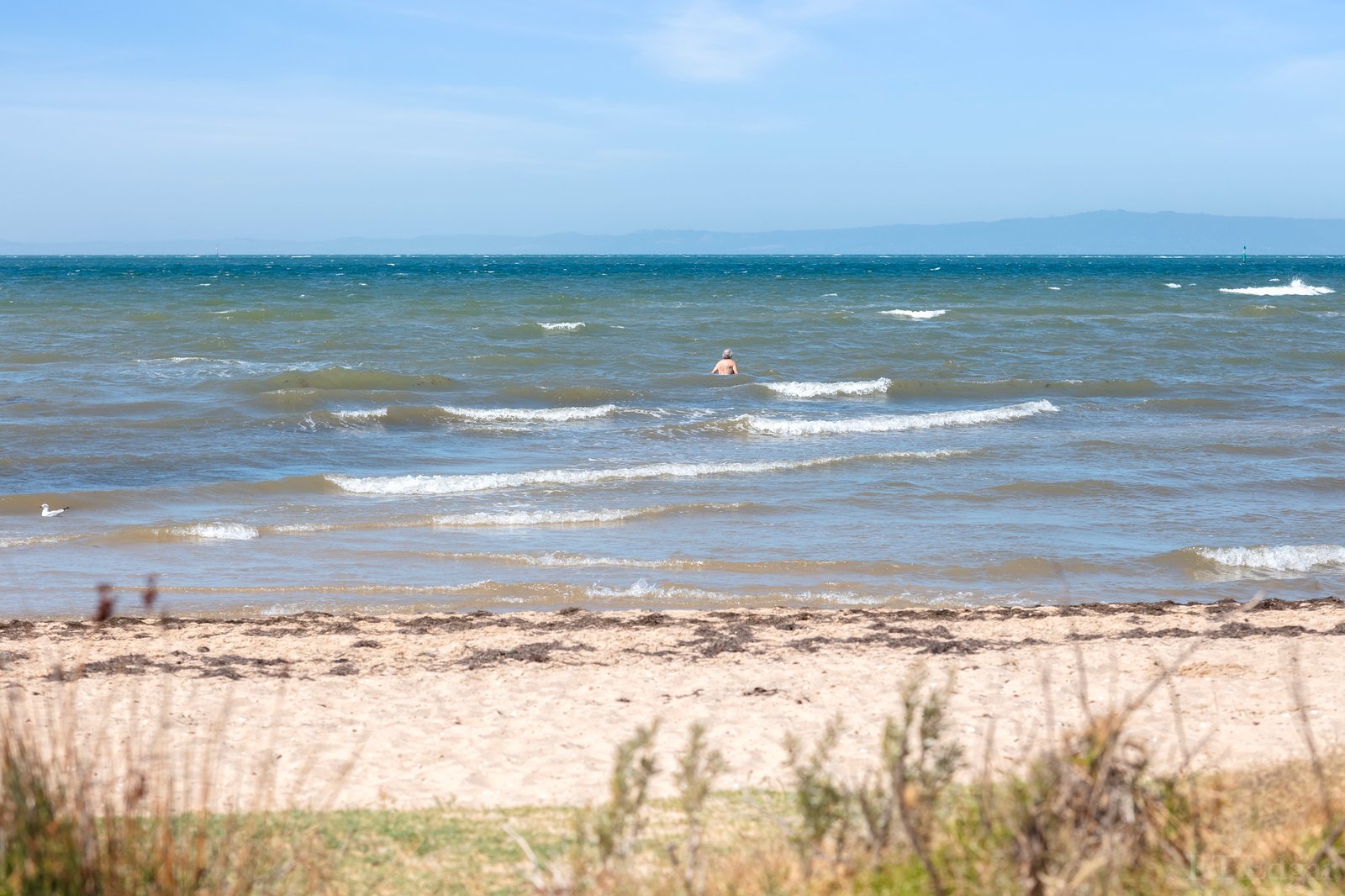 Real Estate and Property in 40 Beach Road, St Leonards, VIC