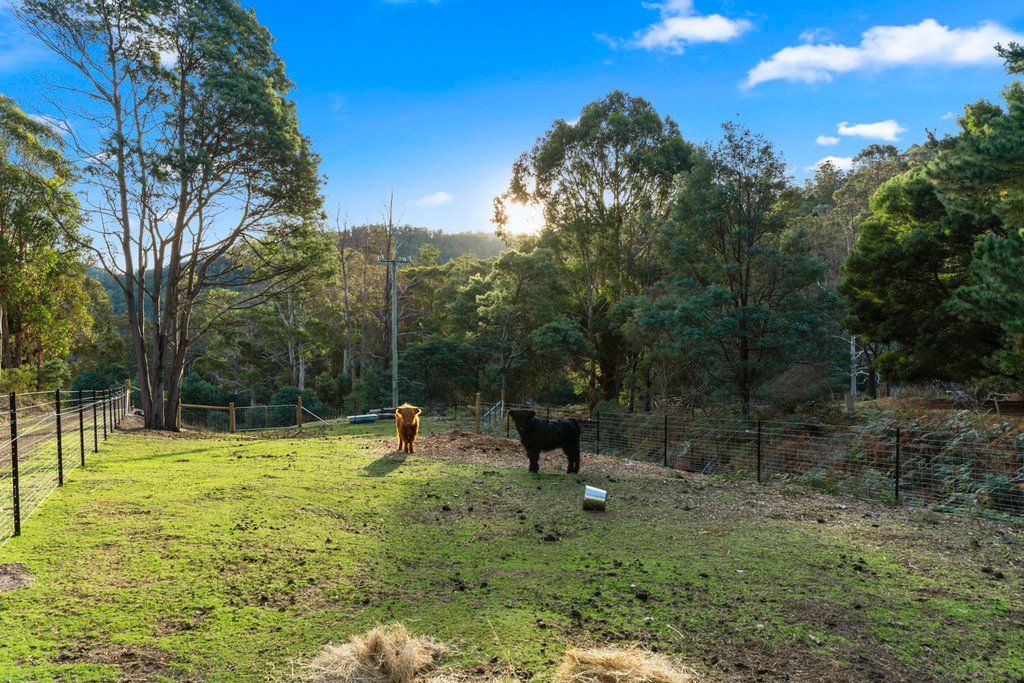 40 Blackwells Road MAGRA 23
