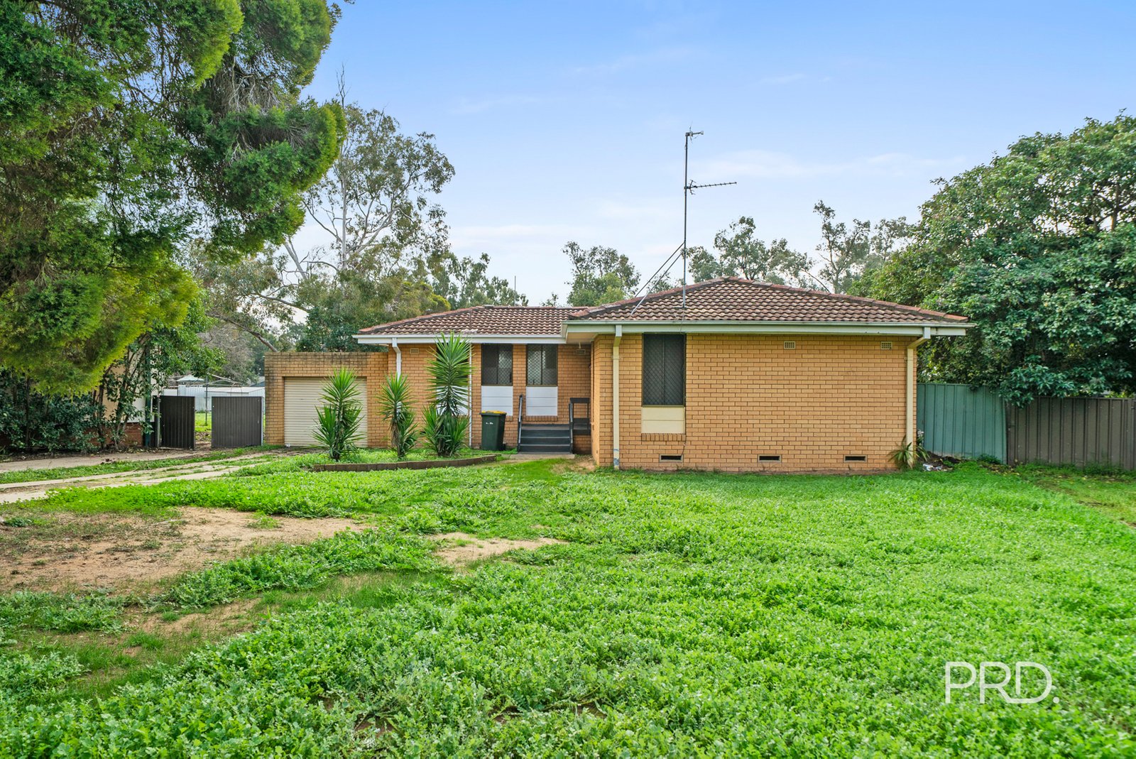 40 Callaghan Street ASHMONT 1