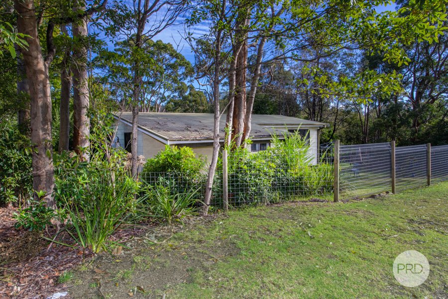 40 Falcon Street HAZELBROOK 18