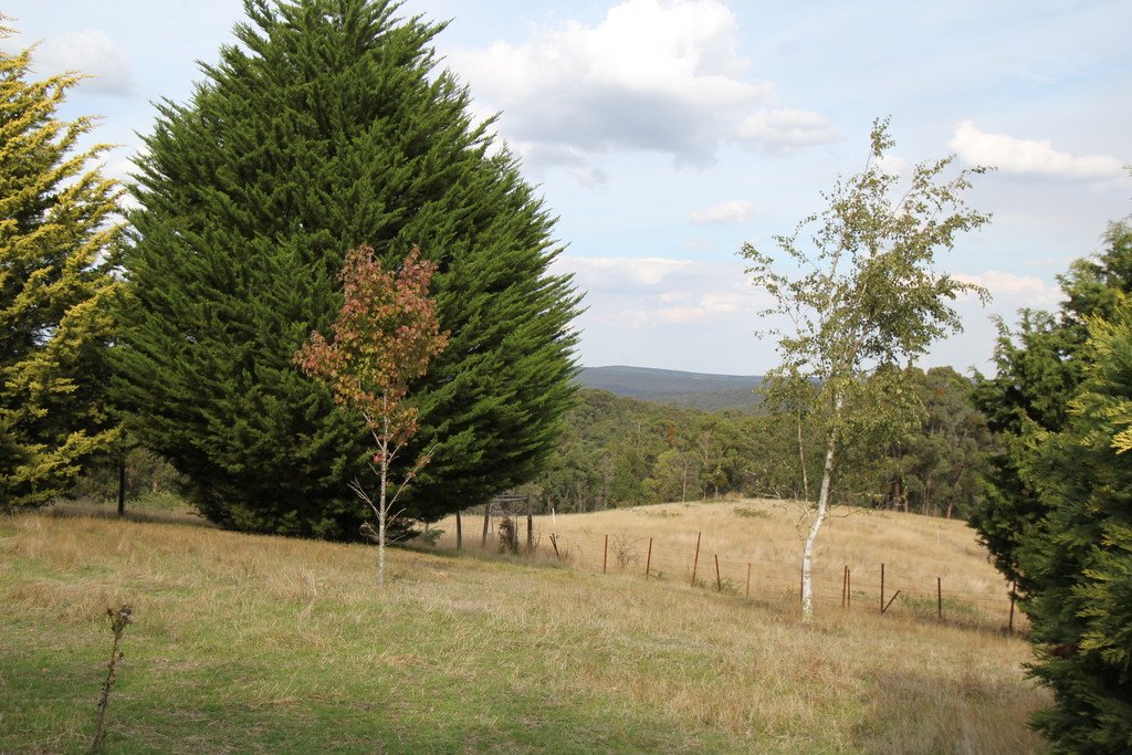 40 Grandmas Road STAFFORDSHIRE REEF 9