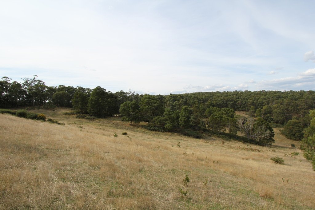 40 Grandmas Road STAFFORDSHIRE REEF 11