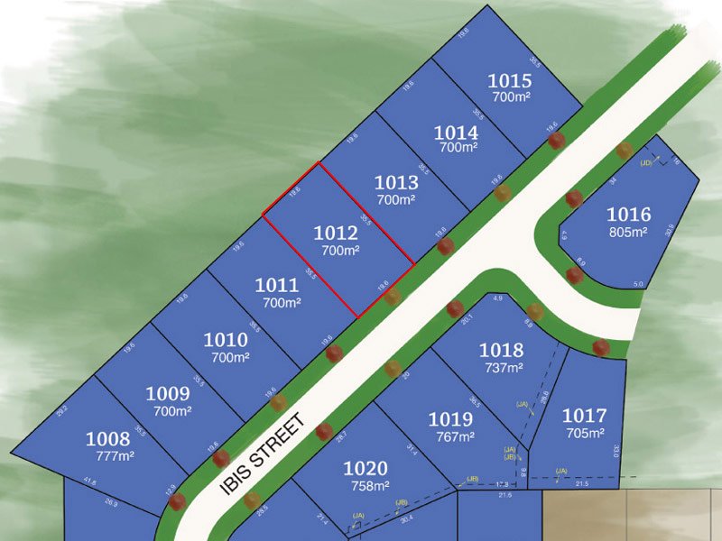 40 Ibis Street TAMWORTH 2