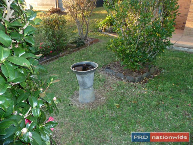 40 Irwin Street KYOGLE 12