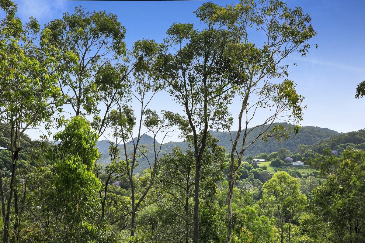 40 Jedda Street Tallebudgera 6